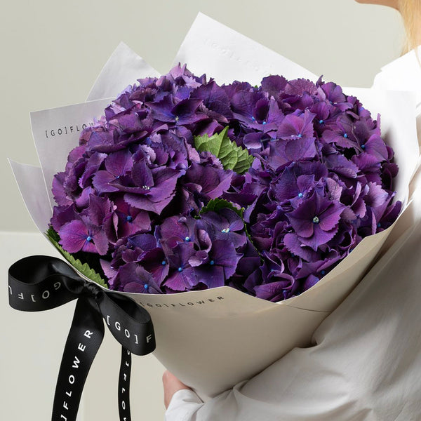 Royal Hydrangea
